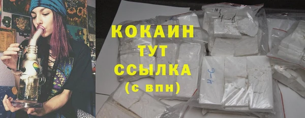 гашик Козловка