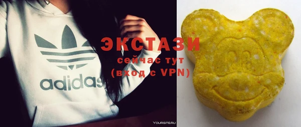 гашик Козловка