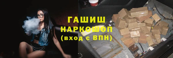 гашик Козловка