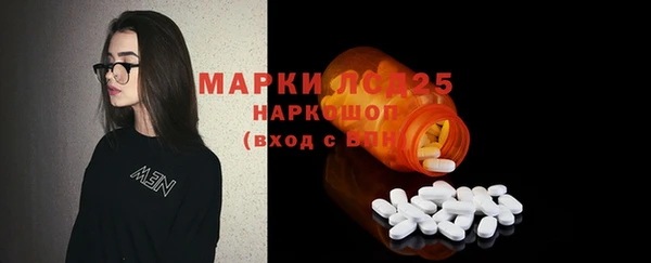 гашик Козловка