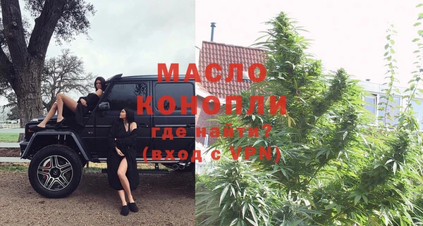 гашик Козловка