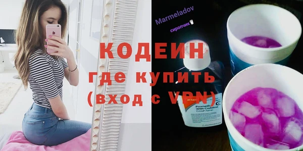 гашик Козловка