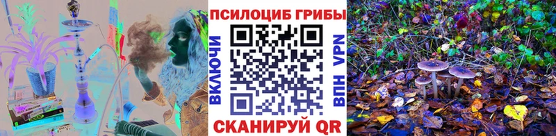 Галлюциногенные грибы MAGIC MUSHROOMS  Купить где  Анадырь 